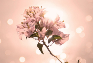 报考泰安成人高考英语需要什么基础