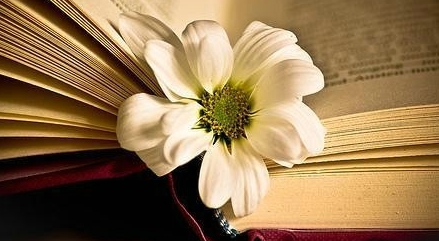 通过泰安成人高考获取的是第几学历