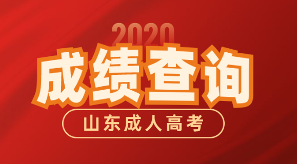 泰安成人高考成绩查询时间